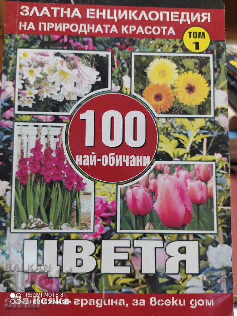 100 Most Loved Flowers, First Edition