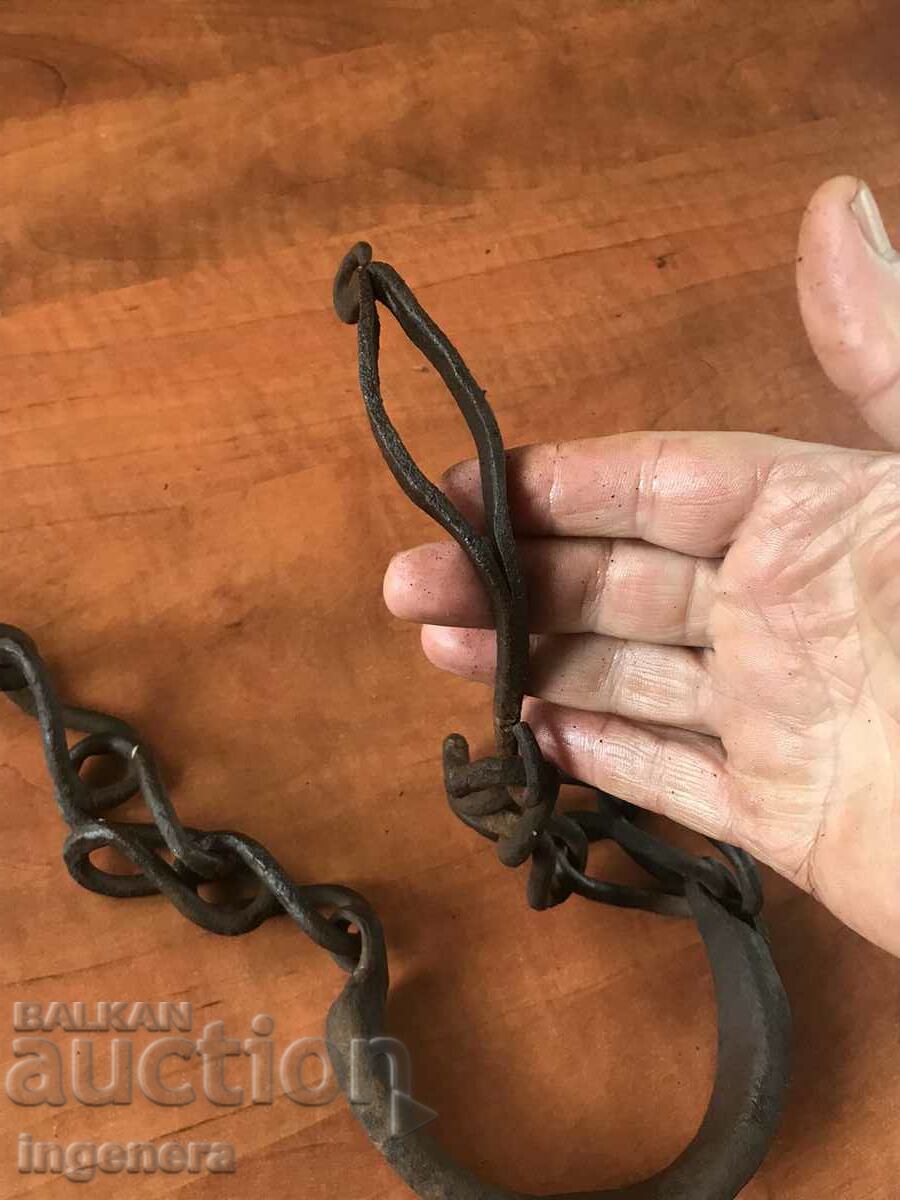 Δημοπρασία ΣΚΡΑΚΙΑ BUKAI ΓΙΑ ΑΛΟΓΟ ΜΟΝΟ