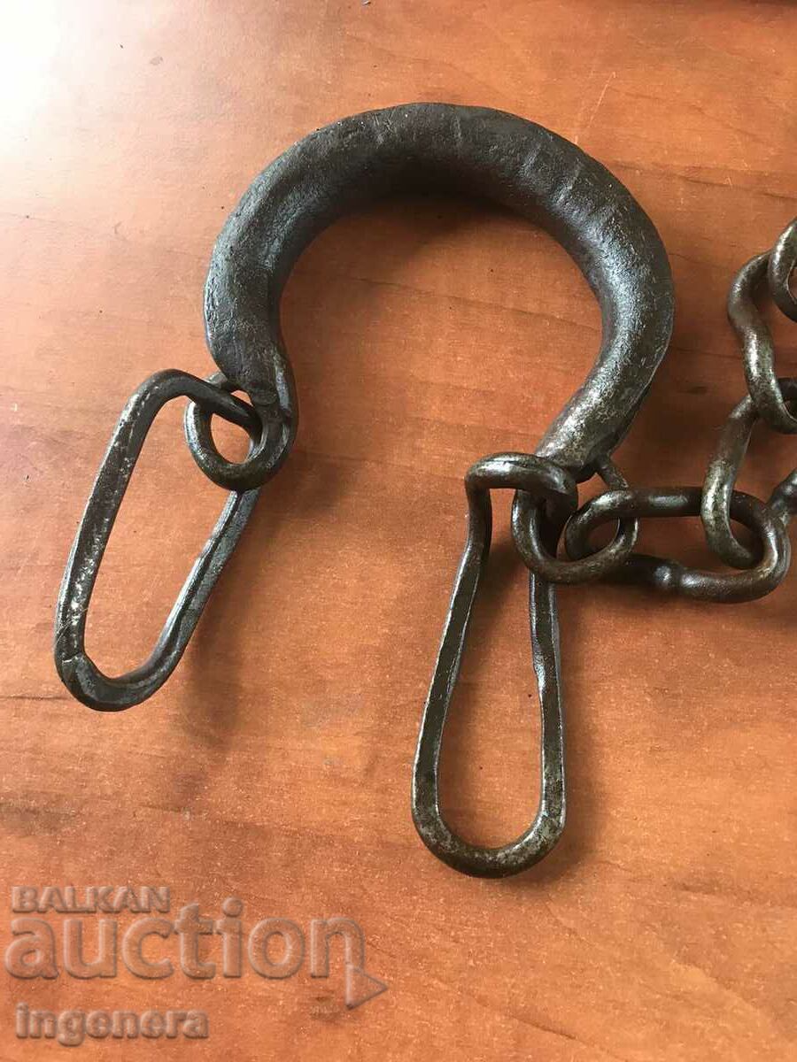 Delivery of BUKAI SHANKS FOR HORSES Delivery of BUKAI SHANKS FOR HORSES