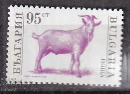 BK 4000 capră din secolul 96