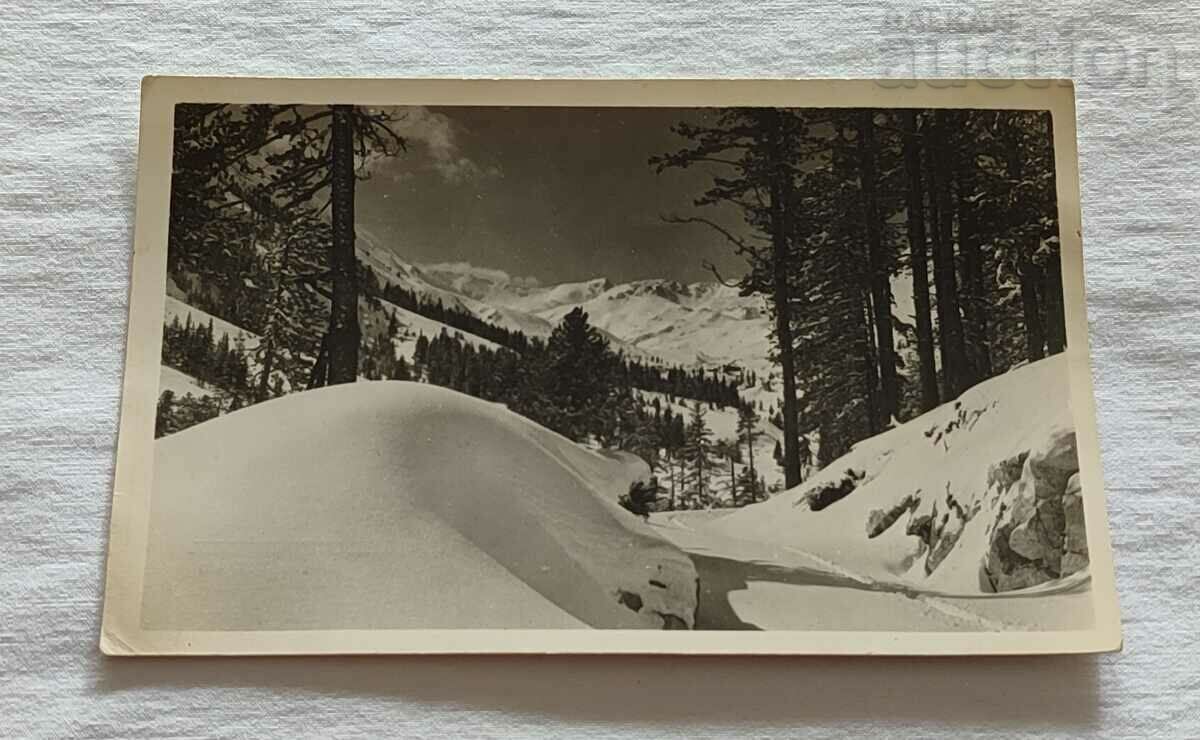 PIRIN WINTER LANDSCAPE P. K. 1960