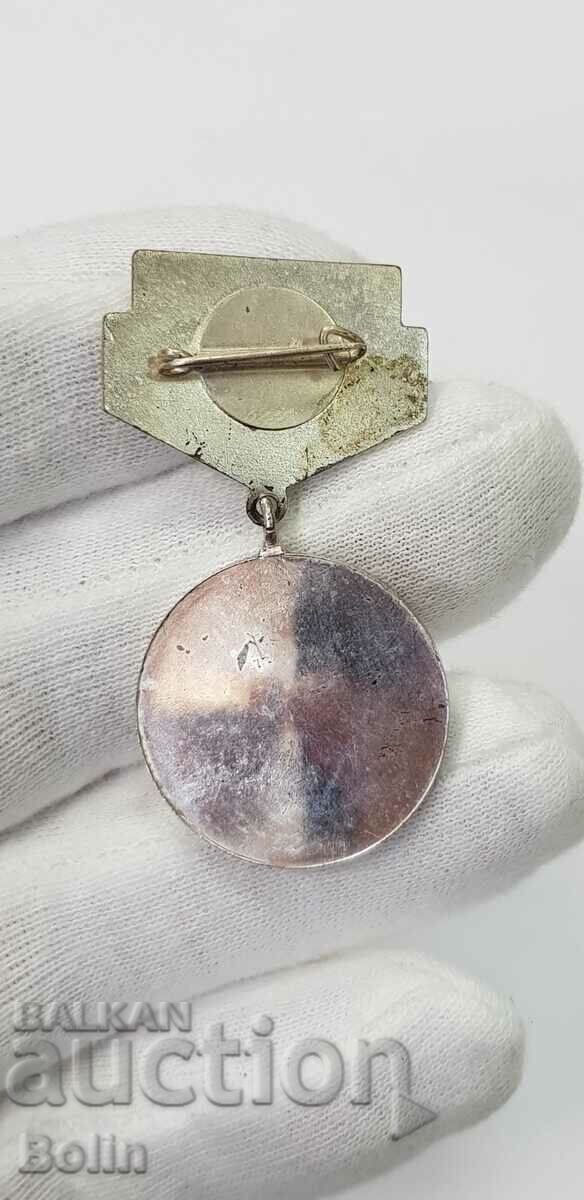 Rare badge, medal - Meritorious Artist with Document 1987 - 5