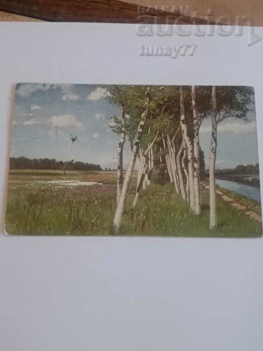 ❗Παλιά Βασιλική Καρτ ποστάλ 1912❗