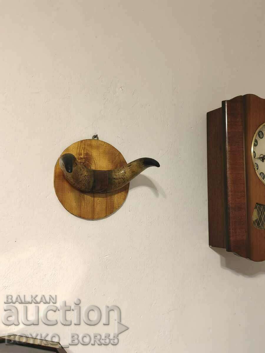 Delivery of Strong Bull Horns for Wall Handmade Delivery of Strong Bull Horns for Wall Handmade