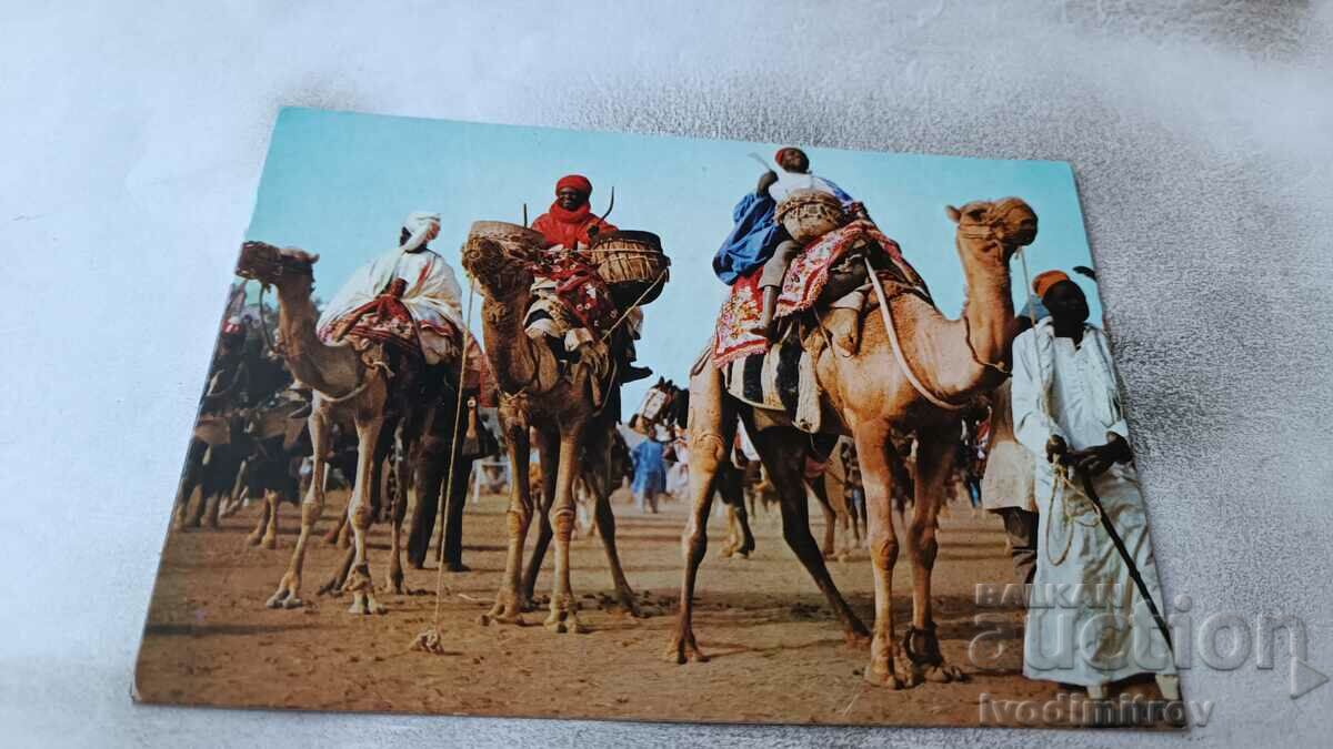 Postcard Nigeria Emir's Musicians at Durbar 1982