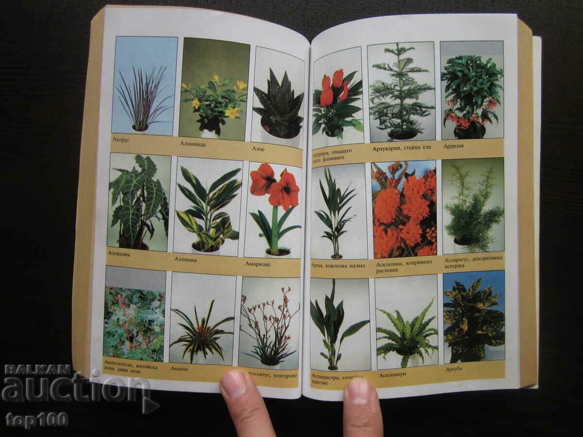 400 ЦВЕТЯ ЗА ДОМА 2003г. БЗЦ !!! с цена 8.00 лв. | € 4.09 400 ЦВЕТЯ ЗА ДОМА 2003г. БЗЦ !!! с цена 8.00 лв. | € 4.09