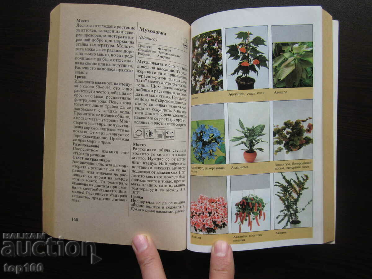 Аукцион 400 ЦВЕТЯ ЗА ДОМА 2003г. БЗЦ !!! Аукцион 400 ЦВЕТЯ ЗА ДОМА 2003г. БЗЦ !!!