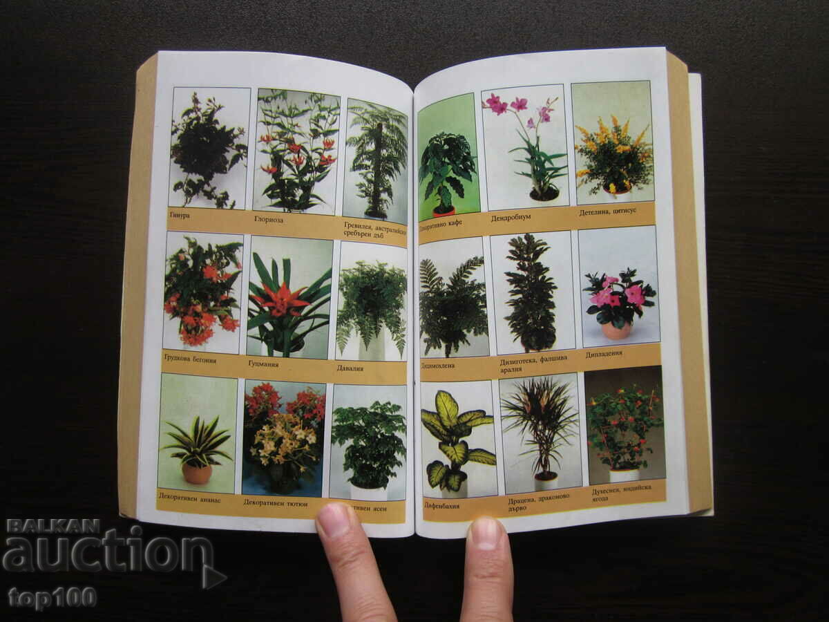 Доставка на 400 ЦВЕТЯ ЗА ДОМА 2003г. БЗЦ !!! Доставка на 400 ЦВЕТЯ ЗА ДОМА 2003г. БЗЦ !!!