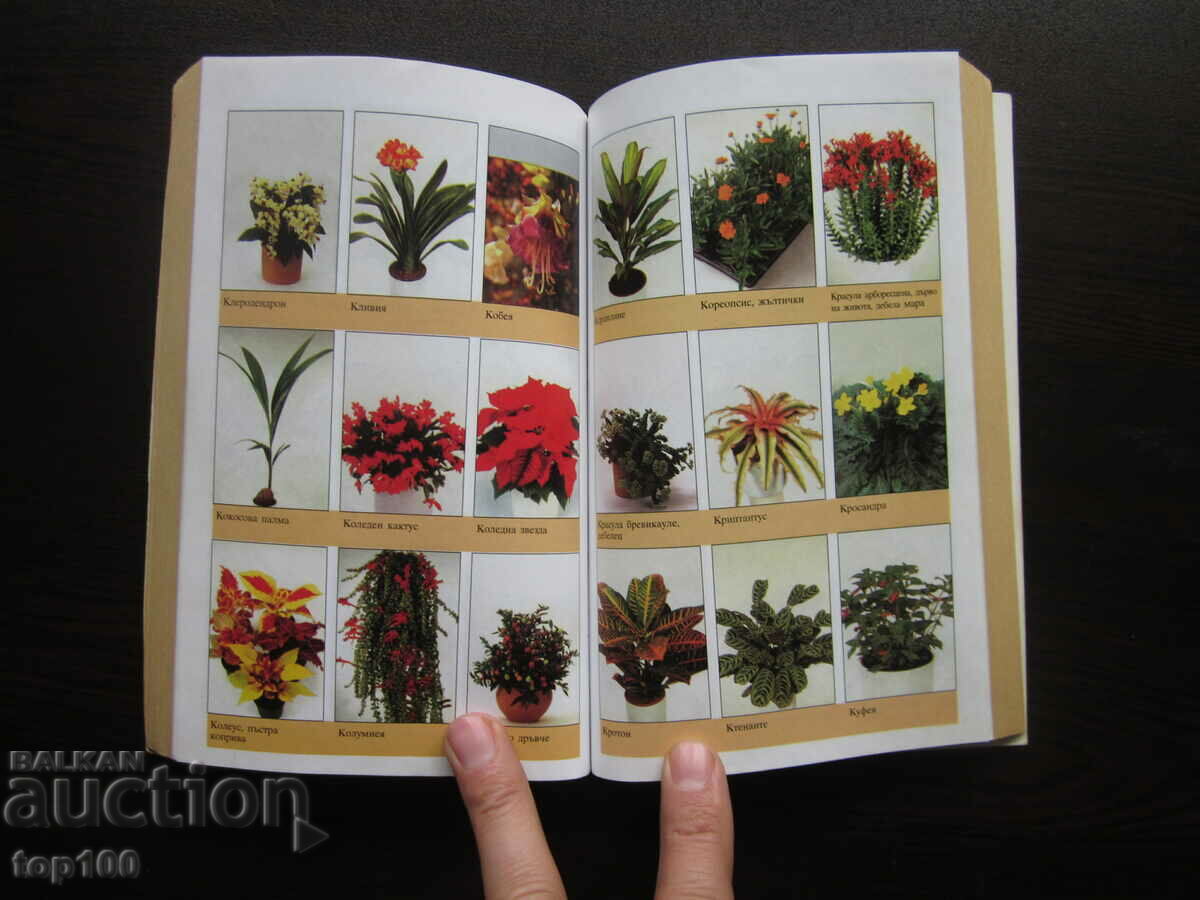 400 ЦВЕТЯ ЗА ДОМА 2003г. БЗЦ !!! - 5 400 ЦВЕТЯ ЗА ДОМА 2003г. БЗЦ !!! - 5