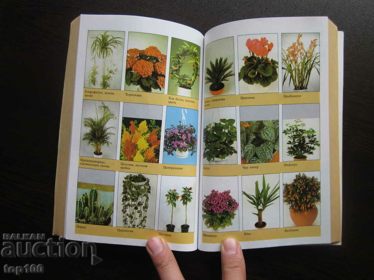 400 ЦВЕТЯ ЗА ДОМА 2003г. БЗЦ !!! - 7 400 ЦВЕТЯ ЗА ДОМА 2003г. БЗЦ !!! - 7