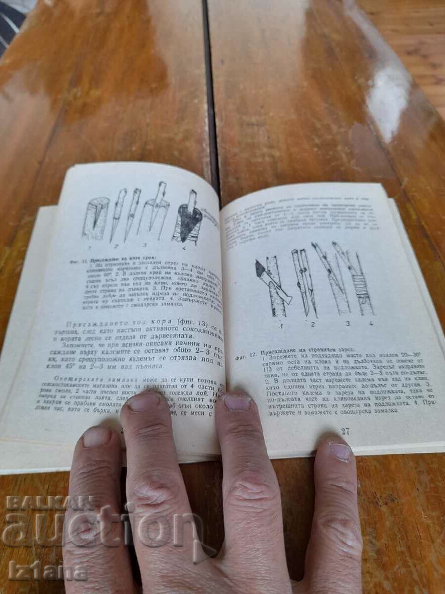 Delivery of Little Orchard Book Delivery of Little Orchard Book