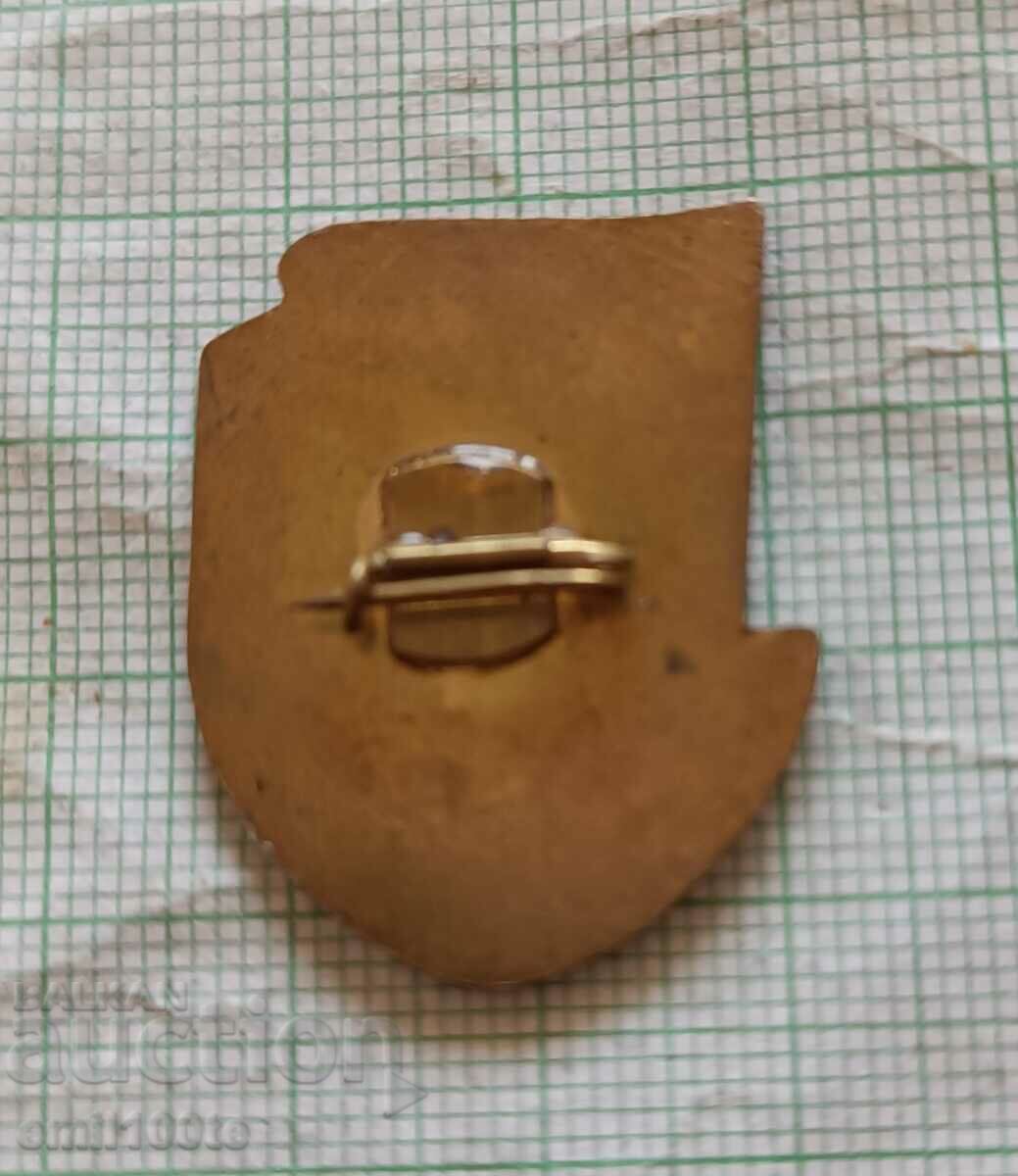 Delivery of Badge - Republican Spartakiad 74 Delivery of Badge - Republican Spartakiad 74