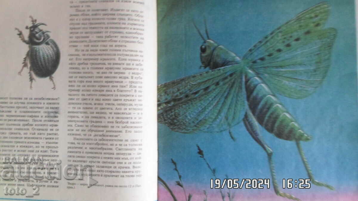 ENTOMOLOGY IN PICTURES-VITALIY TANASIYCHUK with price 1.99 BGN | € 1.02 ENTOMOLOGY IN PICTURES-VITALIY TANASIYCHUK with price 1.99 BGN | € 1.02