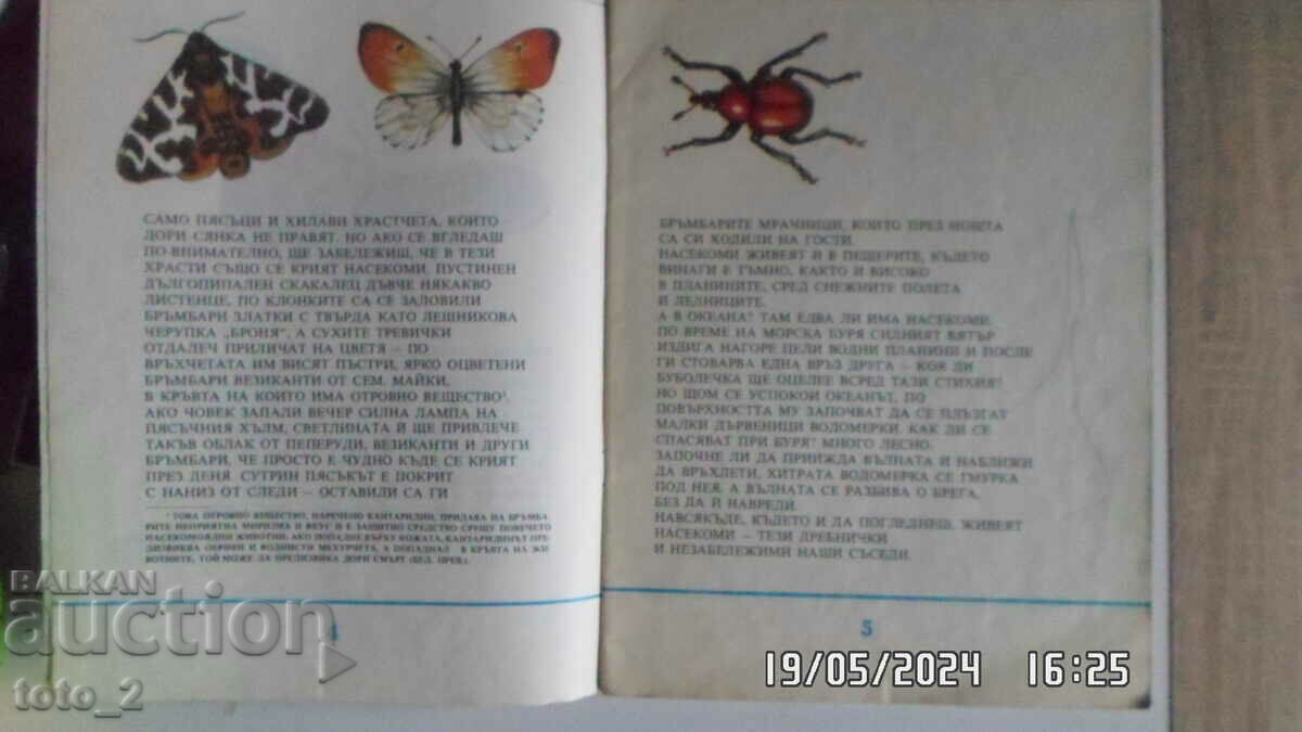 Auction ENTOMOLOGY IN PICTURES-VITALIY TANASIYCHUK Auction ENTOMOLOGY IN PICTURES-VITALIY TANASIYCHUK