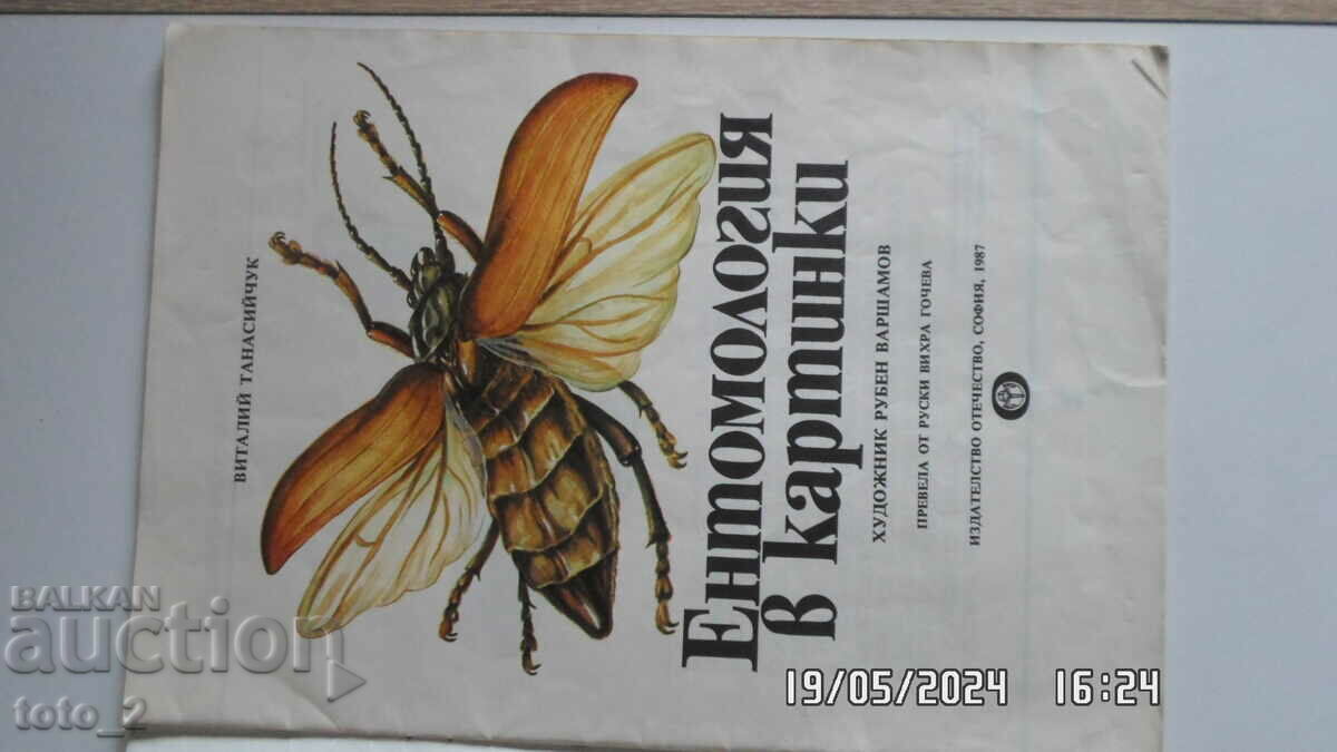 Delivery of ENTOMOLOGY IN PICTURES-VITALIY TANASIYCHUK Delivery of ENTOMOLOGY IN PICTURES-VITALIY TANASIYCHUK