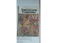 Η ΕΝΤΟΜΟΛΟΓΙΑ ΣΕ ΕΙΚΟΝΕΣ-VITALIY TANASIYCHUK