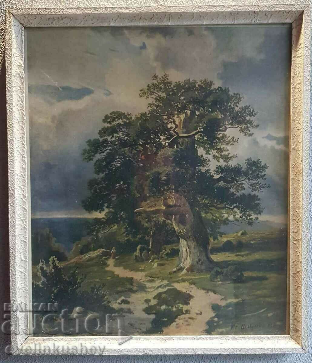 Old Russian reproduction from 1955 of I. Shishkin Trees