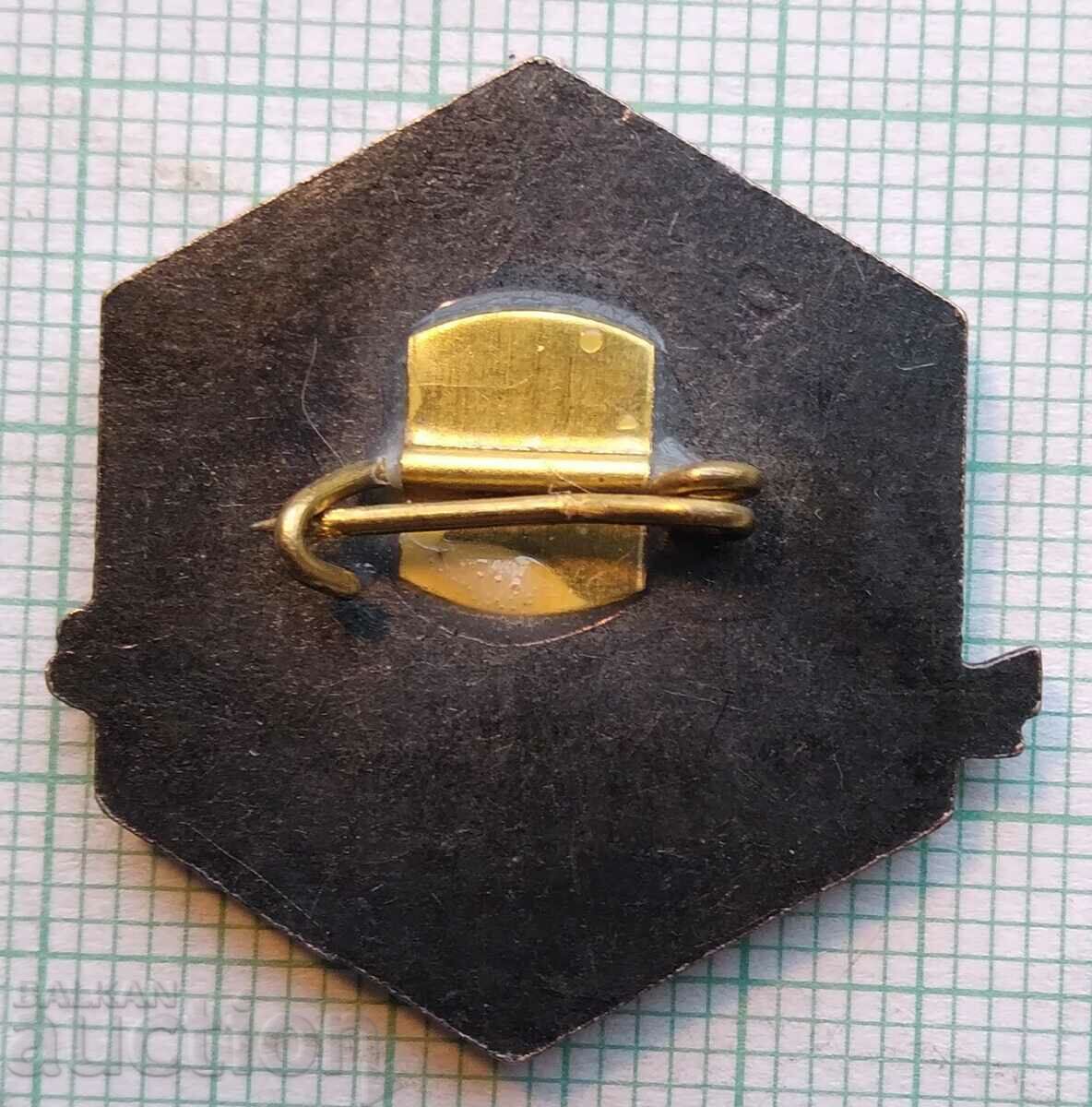 Delivery of 15915 Badge - Tourist ski hike Delivery of 15915 Badge - Tourist ski hike