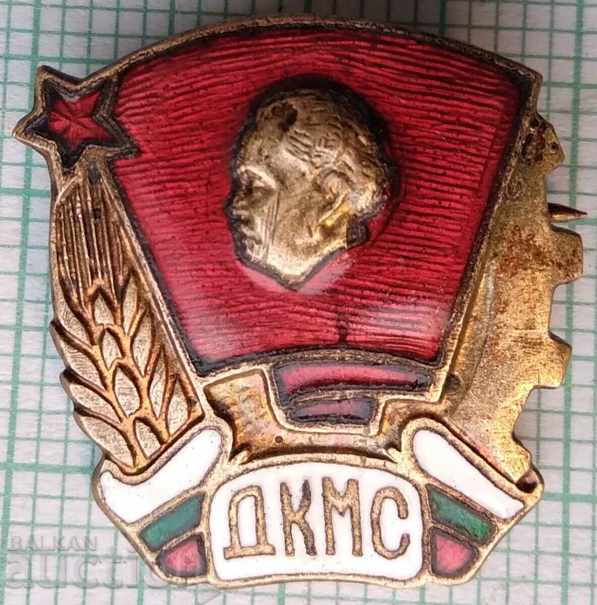 15918 Insigna - DKMS - email bronz