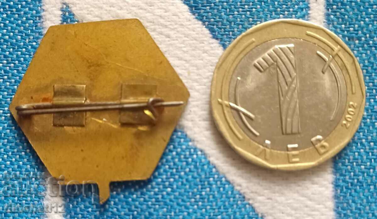 Auditor Public BDZ - Tren. Calea ferata cu preț 39.00 BGN | € 19.94 Auditor Public BDZ - Tren. Calea ferata cu preț 39.00 BGN | € 19.94