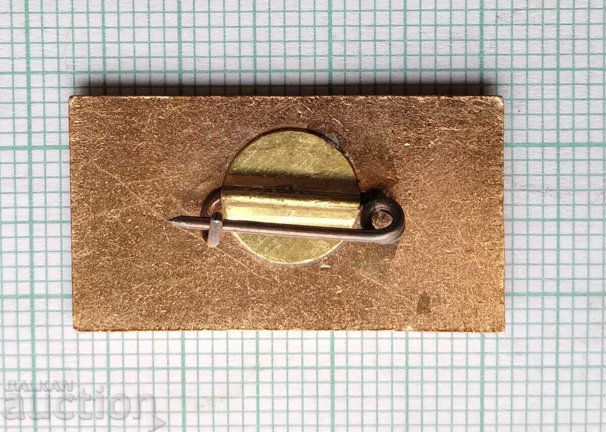 Auction 15926 Badge - 25 years Ministry of Interior - bronze enamel Auction 15926 Badge - 25 years Ministry of Interior - bronze enamel