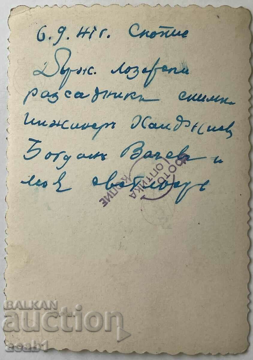 Skopje 1941 State Vine Nursery with price 17.99 BGN | € 9.20 Skopje 1941 State Vine Nursery with price 17.99 BGN | € 9.20