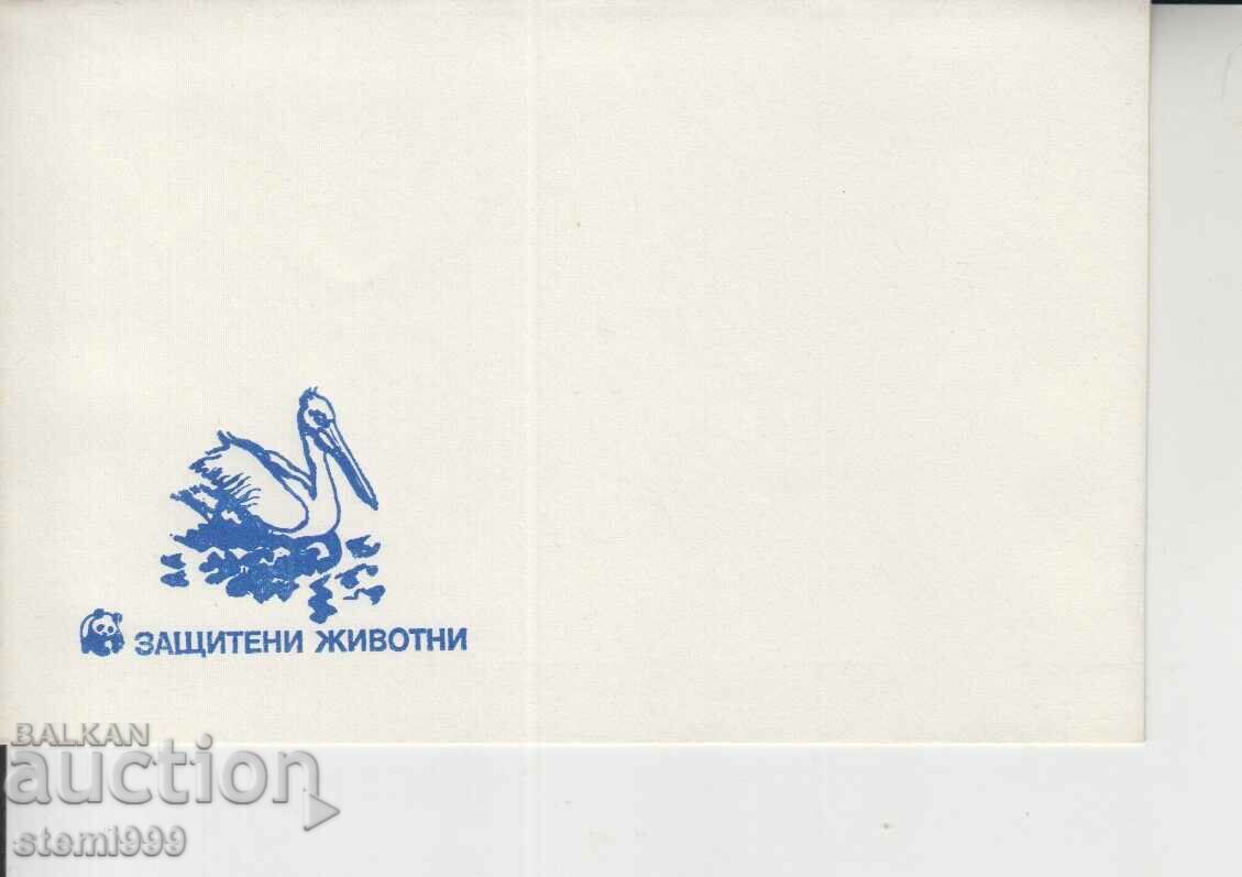Mailing envelope Protected animals Mailing envelope Protected animals