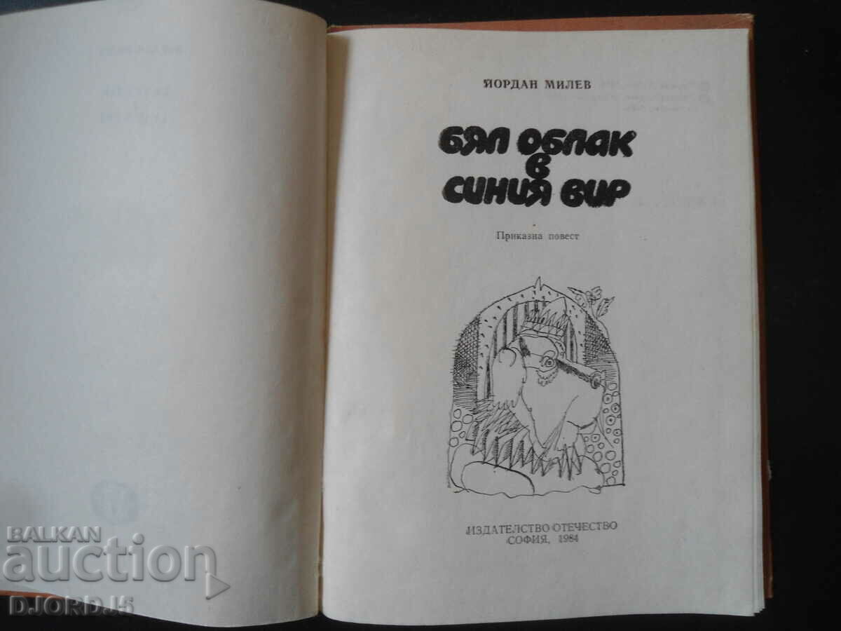 White cloud in the blue pool, Yordan Milev with price 2.00 BGN | € 1.02