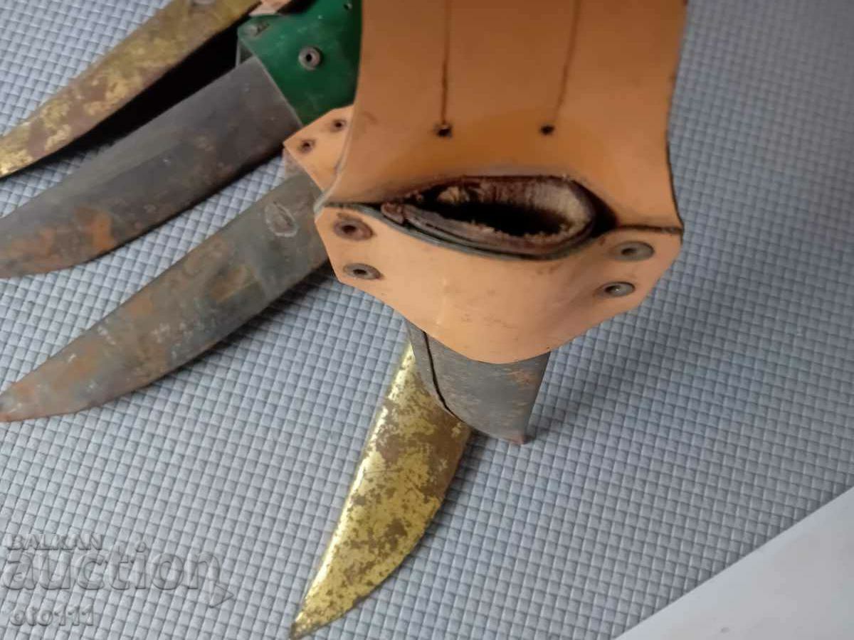 Delivery of CANIA, CANIA - 5 pieces Delivery of CANIA, CANIA - 5 pieces