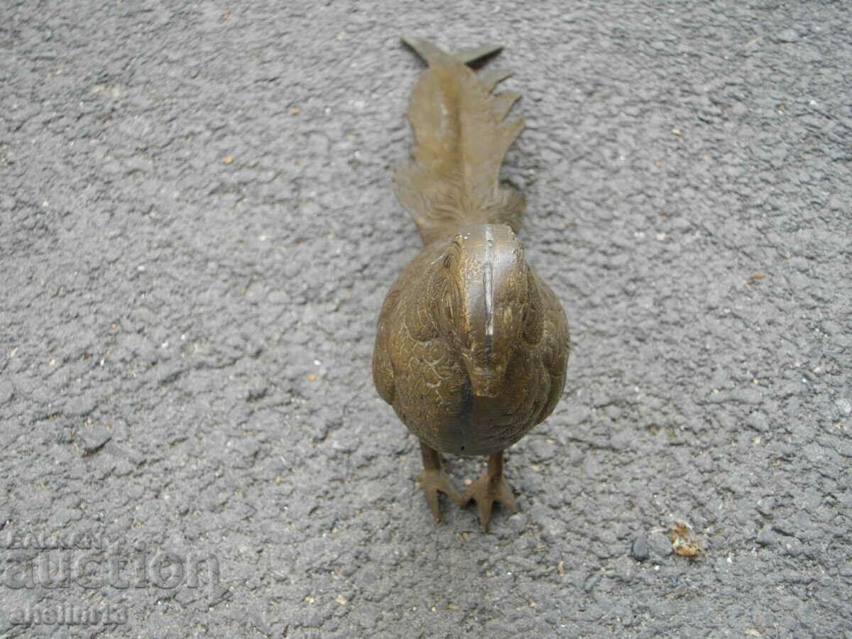 OLD BRONZE PHEASANT - 5