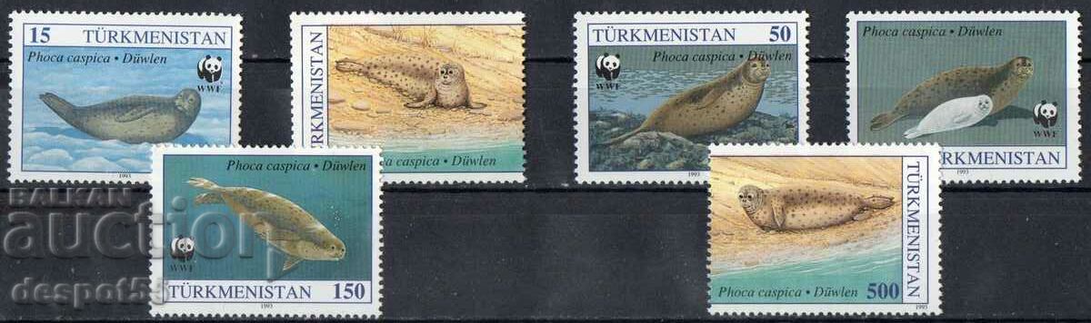 1993. Turkmenistan. Conservarea naturii - foca caspică.
