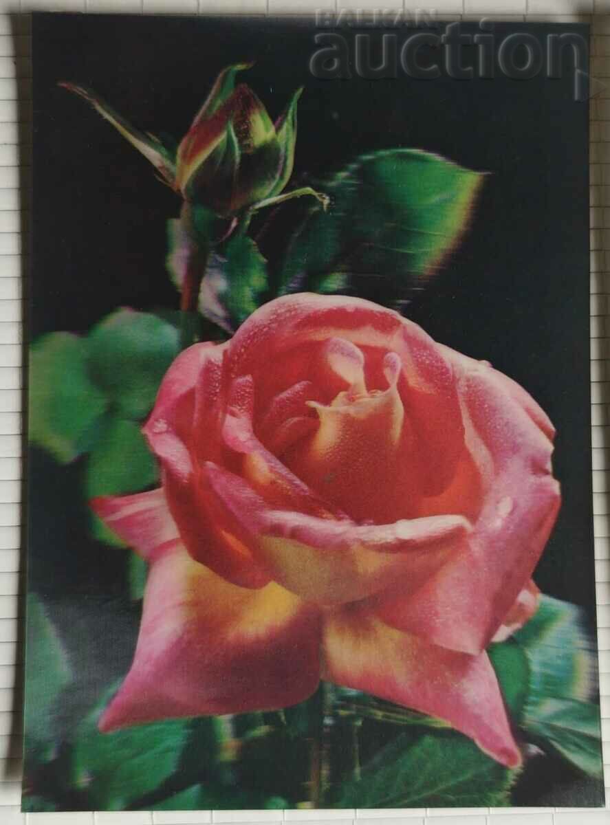 Carte poștală stereo Japonia și trandafir 1980