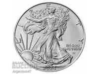 SILVER 1 OZ 2024 AMERICAN EAGLE