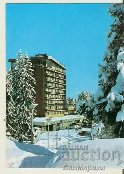 Card Bulgaria Pamporovo Hotel "Murgavets" 5**