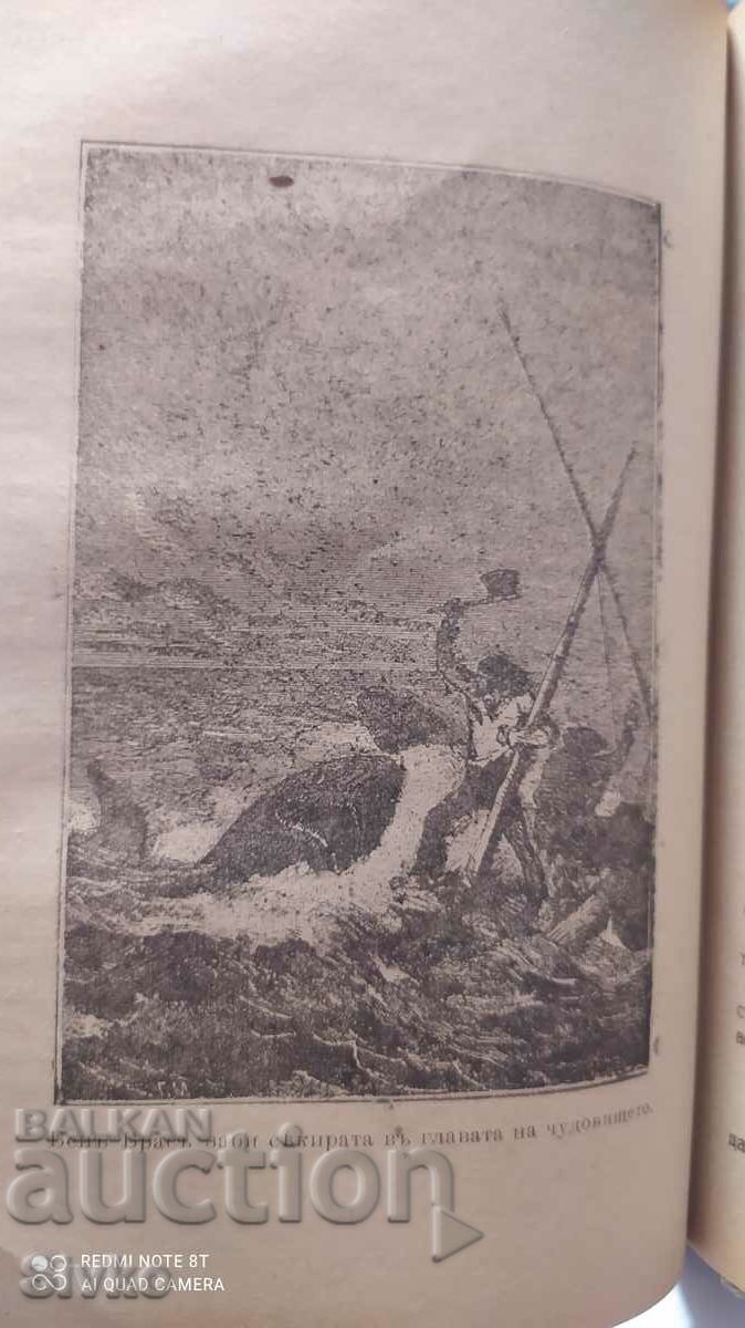 Auction The Adventures of Young William, Maine Reed, many illustrations, Auction The Adventures of Young William, Maine Reed, many illustrations,