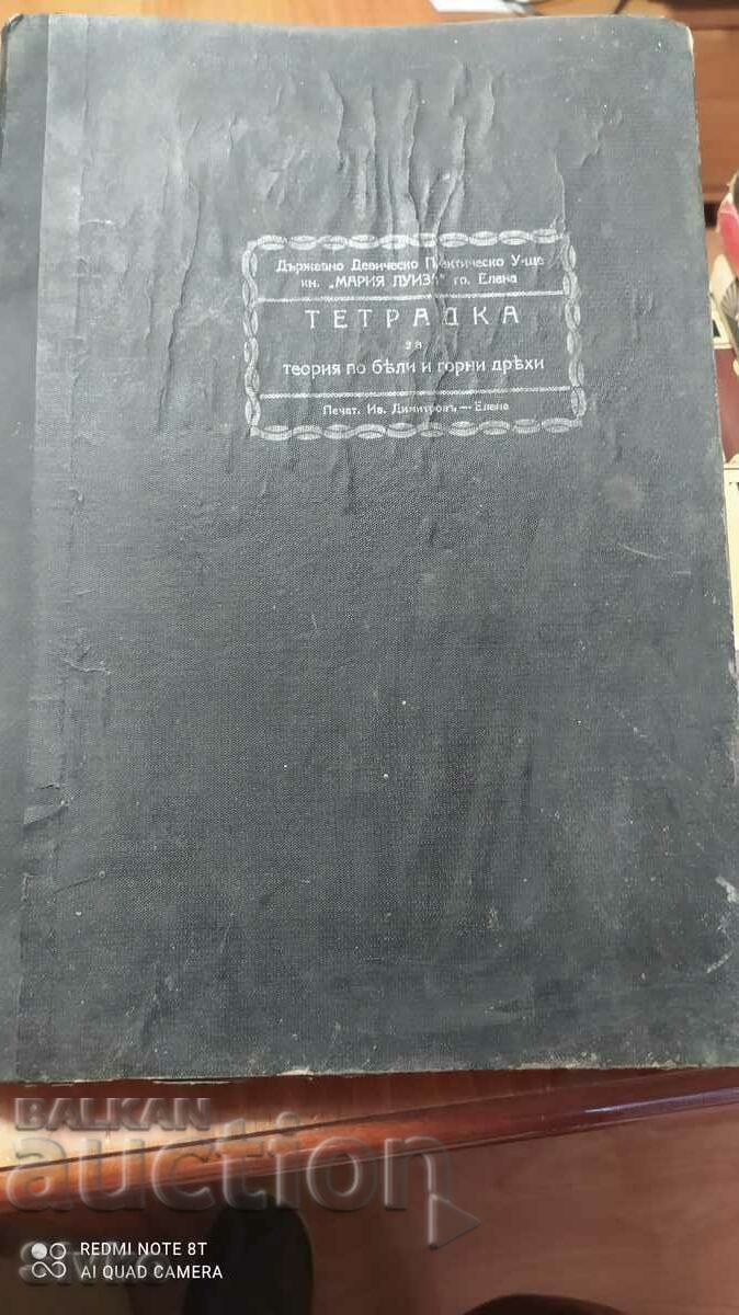 Notebook for the theory of white and outer garments, State Practices