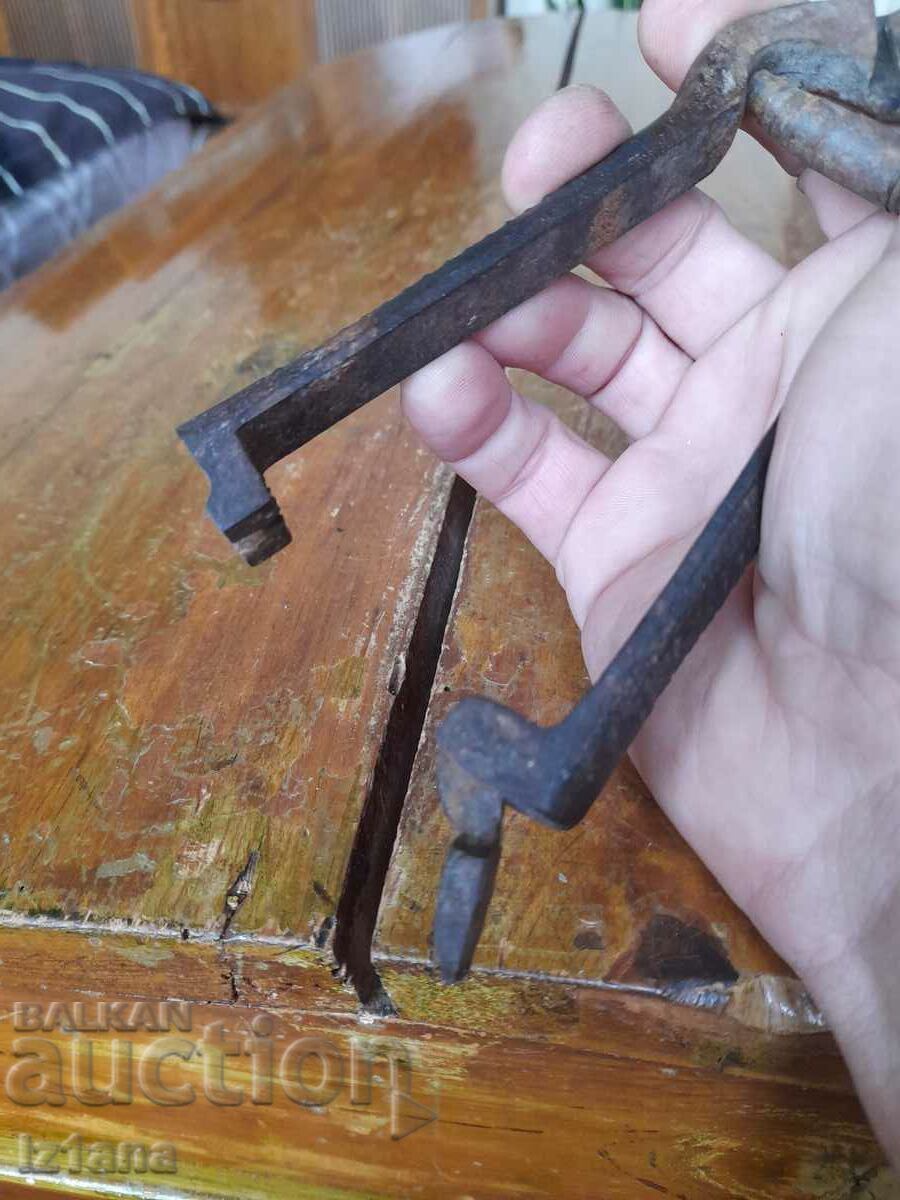 Delivery of Stara Lozarska, ovoshtarska Nozhitsa, Nozhitsi