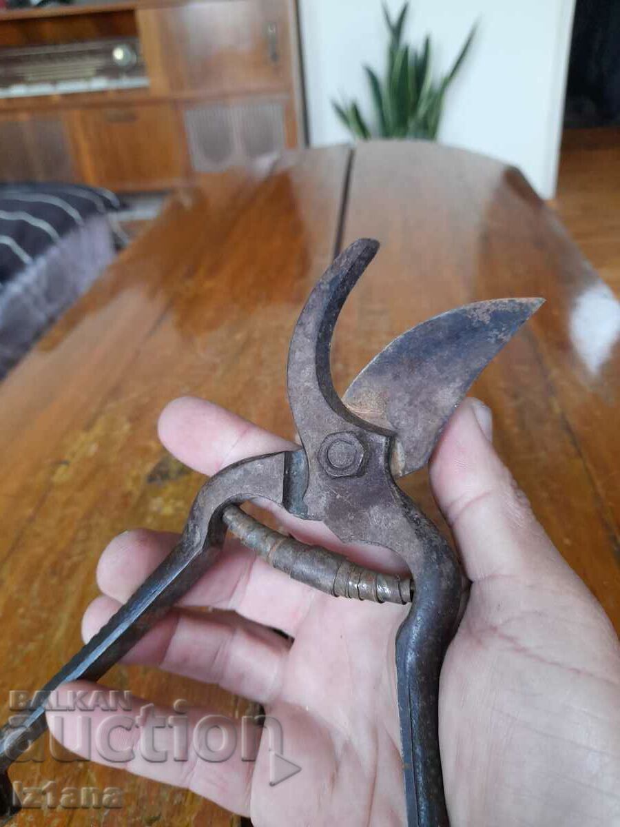 Stara Lozarska, ovoshtarska Nozhitsa, Nozhitsi - 5