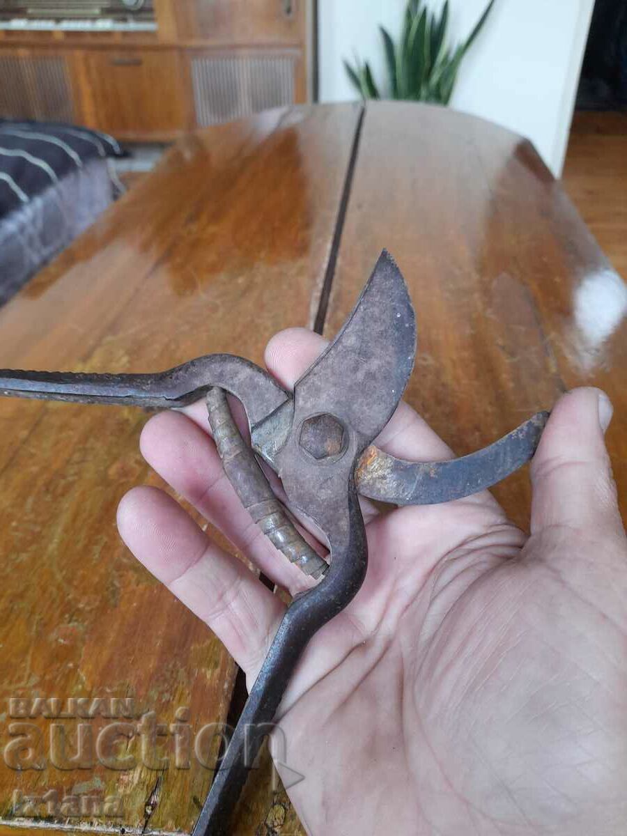 Stara Lozarska, ovoshtarska Nozhitsa, Nozhitsi - 6