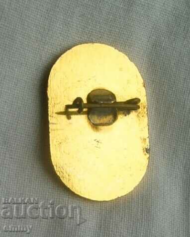 Esperanto badge - 1300 years Bulgaria, Shumen with price 8.00 BGN | € 4.09 Esperanto badge - 1300 years Bulgaria, Shumen with price 8.00 BGN | € 4.09