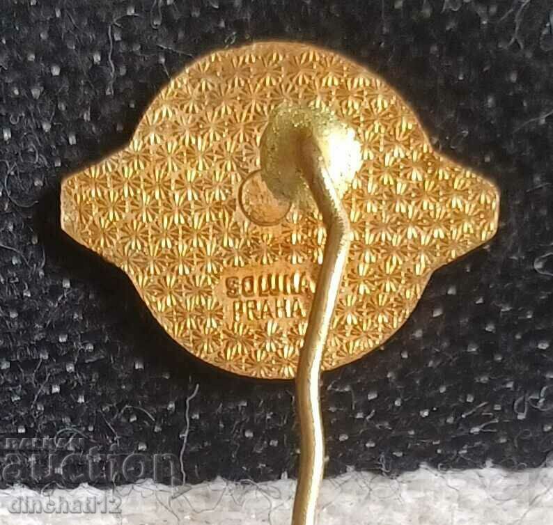 Delivery of Bulgarian Union for Physical Culture and Sports BSFS - SOLUNA PRAHA