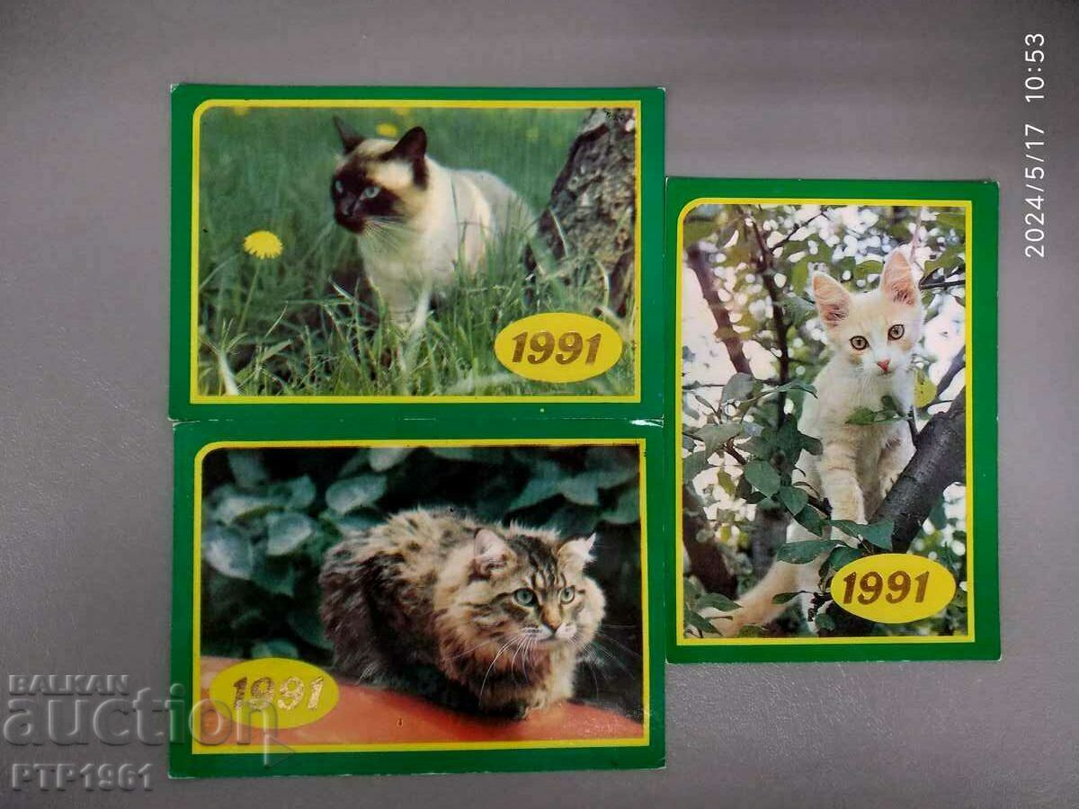 cat calendars