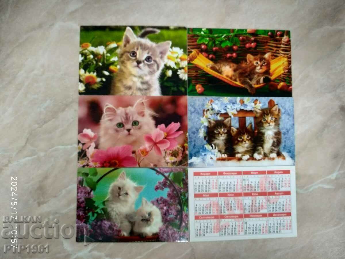 cat calendars with price 3.00 BGN | € 1.53