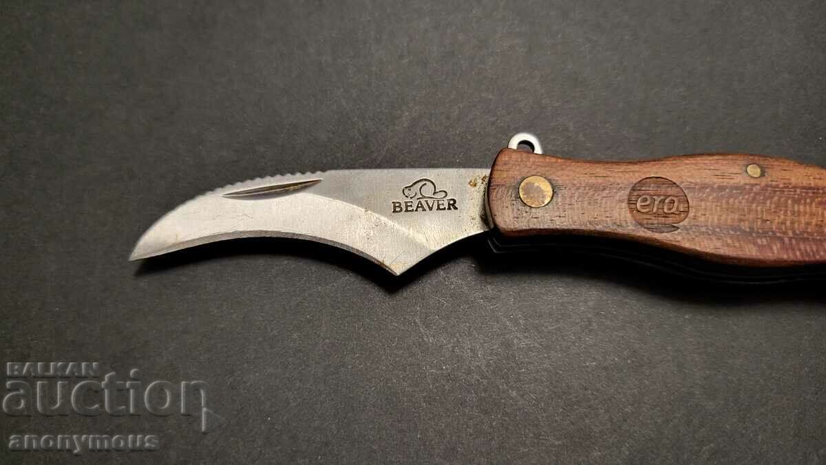 Licitație Cuțit rar pentru ciuperci Licitație Cuțit rar pentru ciuperci