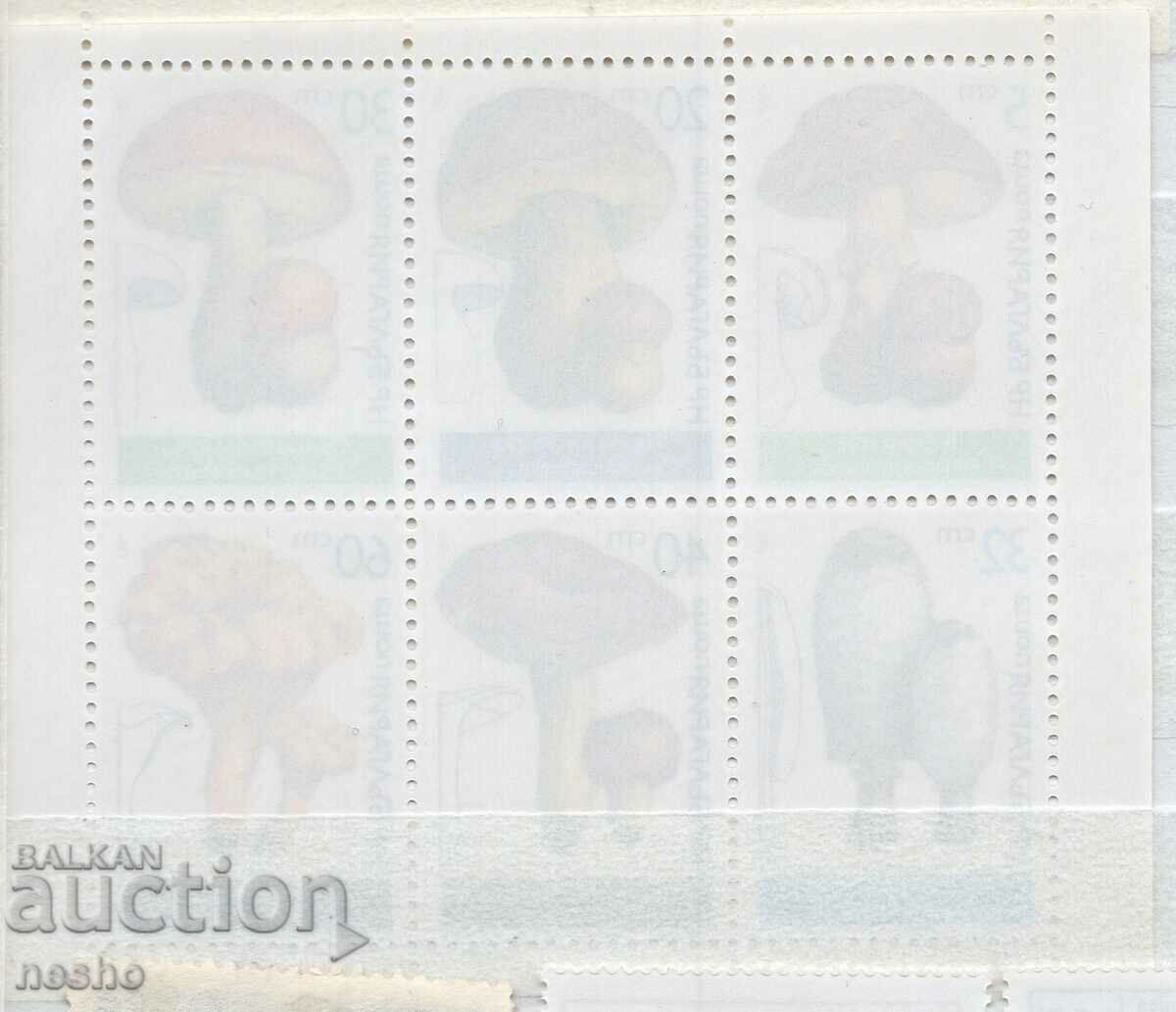 flora with price 2.50 BGN | € 1.28 flora with price 2.50 BGN | € 1.28