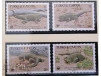 Turks and Caicos - WWF Caribbean Iguana
