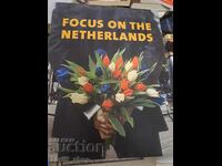 Concentrați-vă pe Țările de Jos