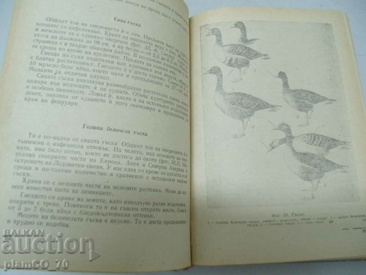 Auction #*7562 old book - Hunter's and Fisherman's Handbook Auction #*7562 old book - Hunter's and Fisherman's Handbook