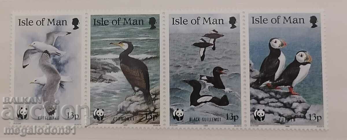 Insula Man (Marea Britanie) - WWF, păsări marine