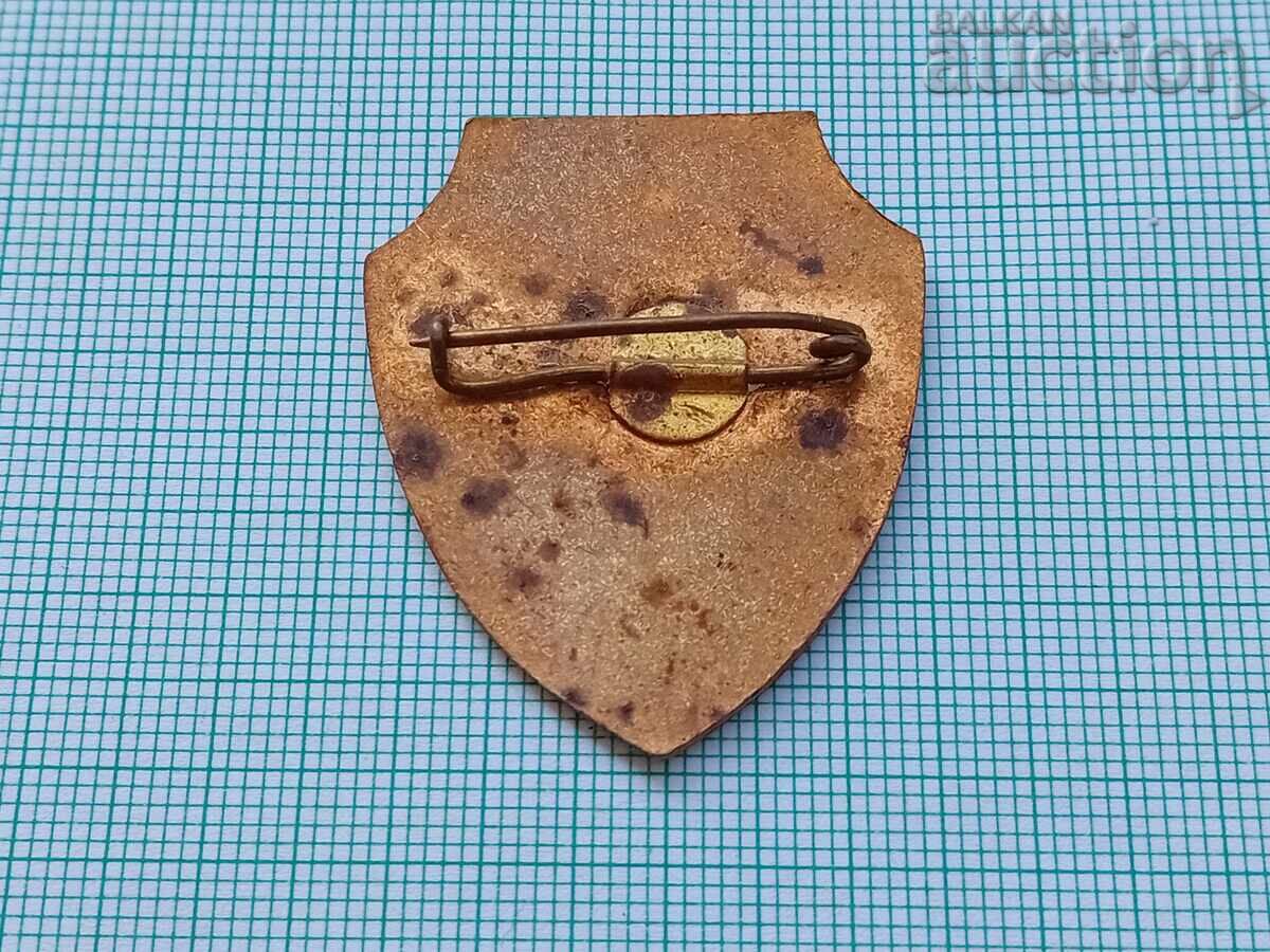 Badge Trooper medal badge - 5 Badge Trooper medal badge - 5